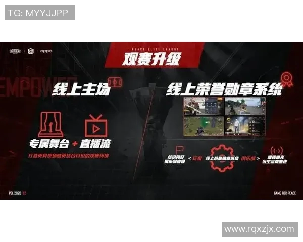WE战队在CSGO赛事中的耐力表现与策略分析探讨